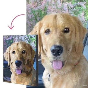 Kit di pittura personalizzata con i numeri per adulti - Dipingi il ritratto personalizzato del tuo animale domestico con i numeri - Il miglior regalo commemorativo o personalizzato per animali domestici