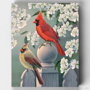 Premium Malen nach Zahlen - Backyard Kardinalpaar - Russ Duerksen - Canvas by Numbers
