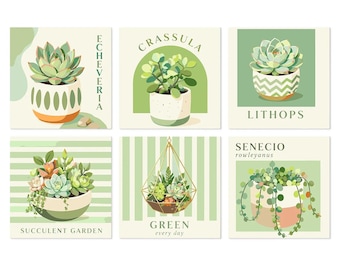 Succulent Garden - Mini Paint by Numbers Set
