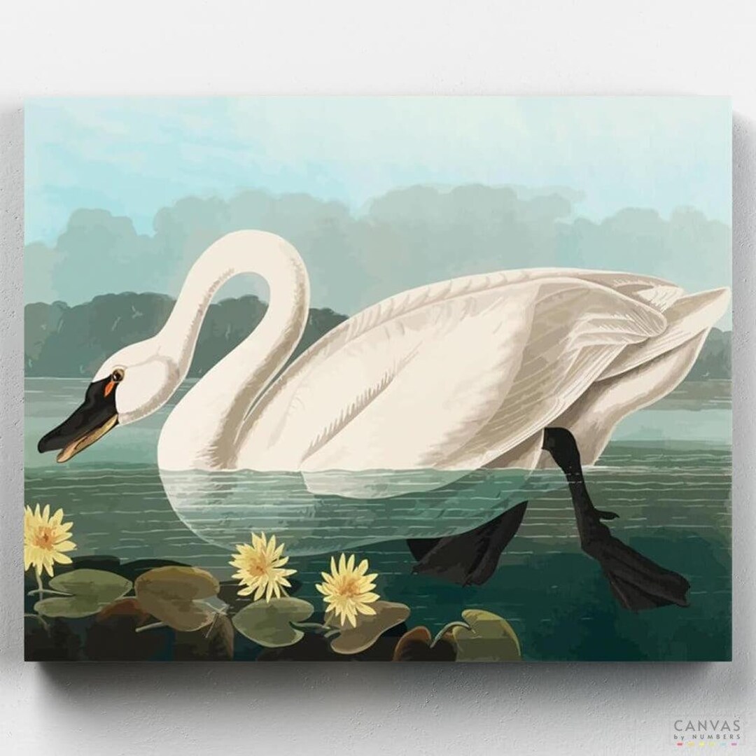 Premium Paint by Numbers Kit - Common American Swan - John James