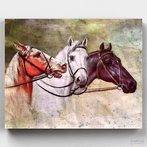 Premium Paint by Numbers Kit - Three Horses - Canvas by Numbers