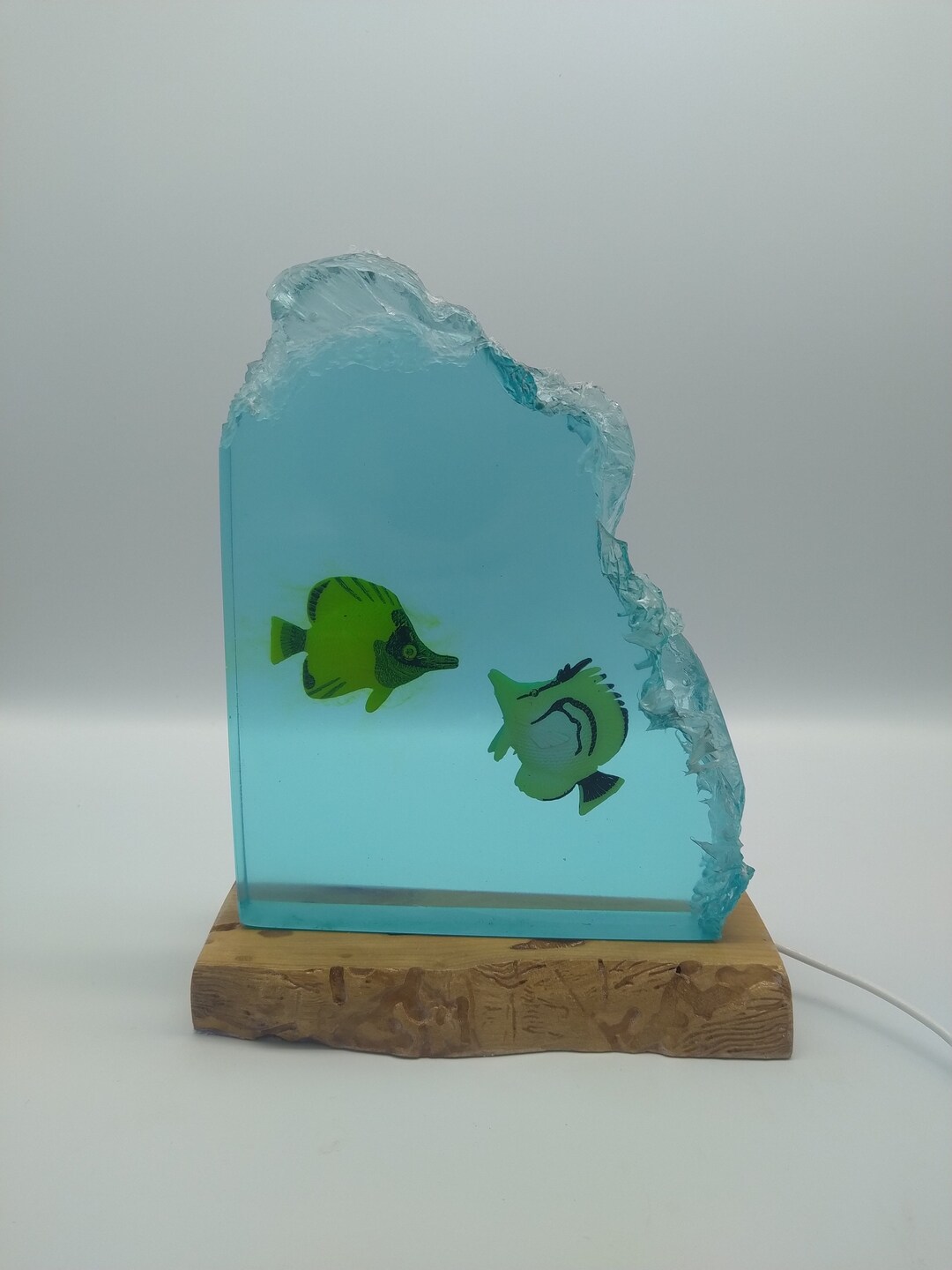 Angel Fish Epoxy Resin Night Light, Unique Resin Aquarium Table Lamp