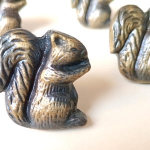 May include: Bronze-colored squirrel-shaped cabinet knobs. The knobs have detailed fur and tail textures, with a sitting pose. These decorative knobs add a whimsical touch to furniture and are suitable for various home decor styles.