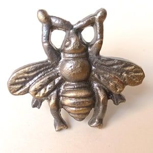 May include: A bronze-colored bee-shaped decorative object. The bee has detailed wings, a segmented body, and antennae. The object is likely made of metal and has a rustic, antique appearance. The bee is a decorative element.