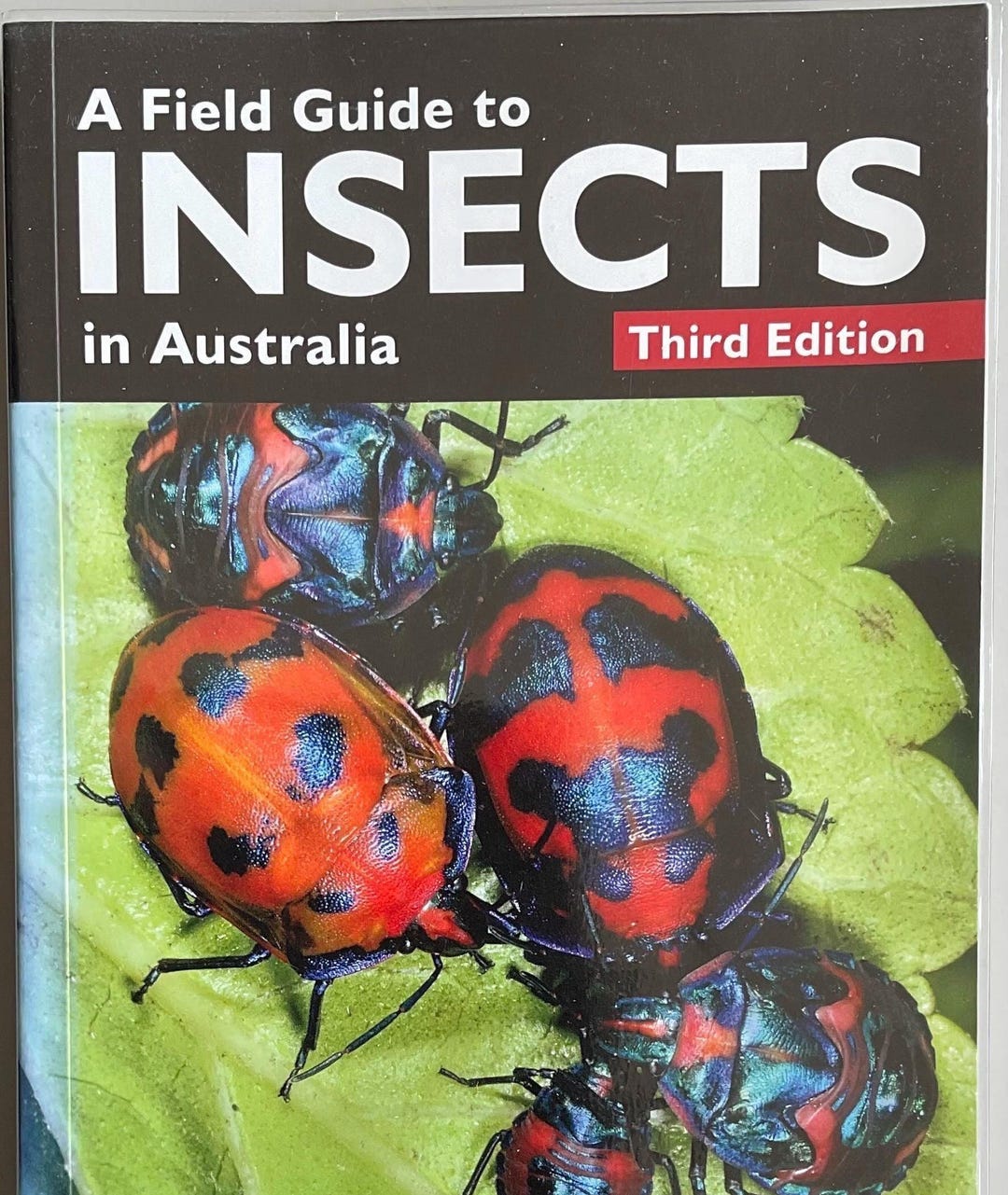 Australian Insect Field Guide: 300+ Color Photos, Third Edition - Etsy