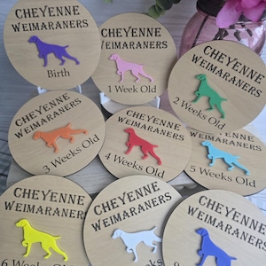 Marqueurs d'étapes pour chiots avec identifiants individuels pour chaque chiot, meute de l'éleveur, spécifique à la race de chien