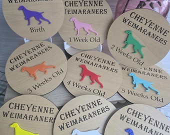 Puppy Milestone Markers with Individual Identifiers for Each Puppy, Breeder's Pack, Dog Breed Specific