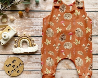 Autumn Hedgehog Romper, Hedgehog Print Stretch Jersey Romper, Gender Neutral, Baby Toddler Full Leg Romper, Autumn Leaves, Pine Cones