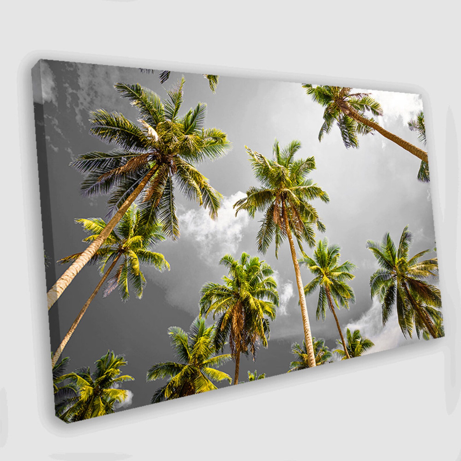 Palm Canvas Art Palm Trees Wall Art Palm Canvas Palm Photo Etsy
