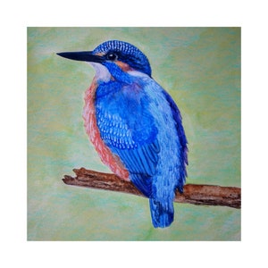 Kingfisher Greetings Card