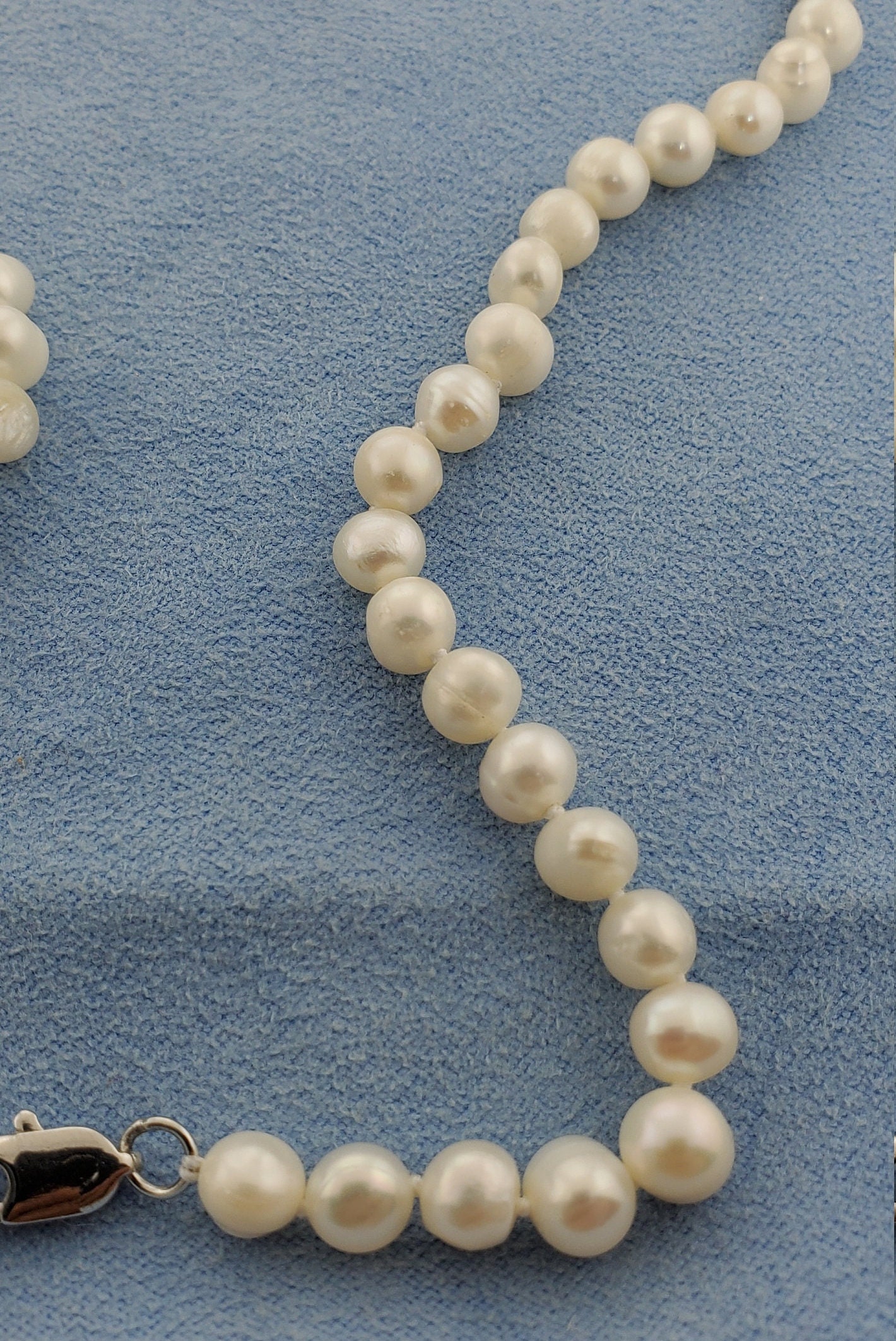 アクセサリー me1001 18000 Amazon.com: KONMAY 10 Sets Mixed Screw-in Magnetic Necklace Clasps