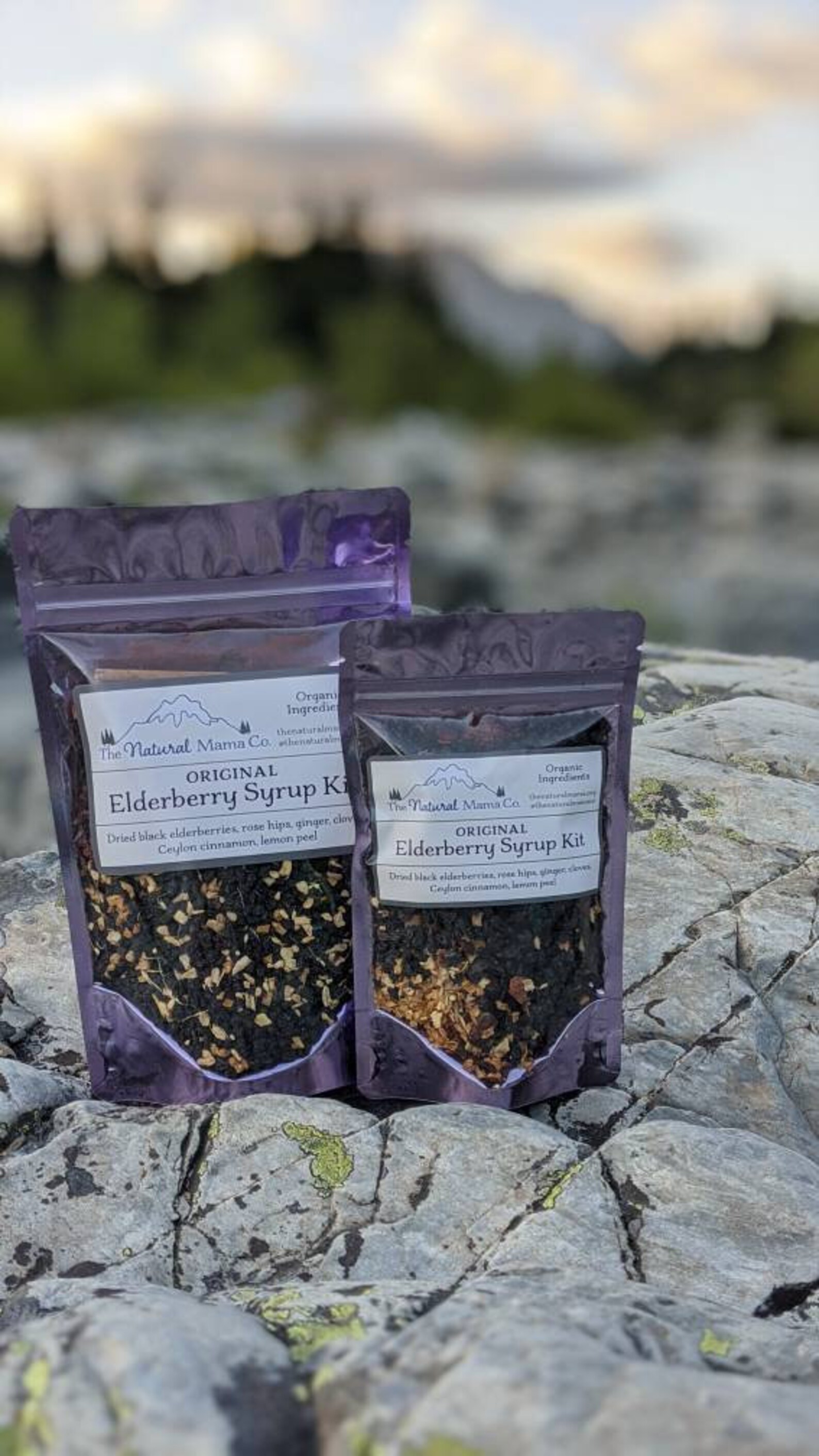 Elderberry Syrup Kit Organic Dried Elderberries Elderberry Etsy