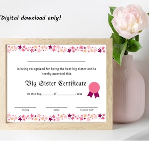Big Sister Certificate, Big Sister PDF, Gift from Baby, Big Sibling Gift, Celebration award, Digital Download