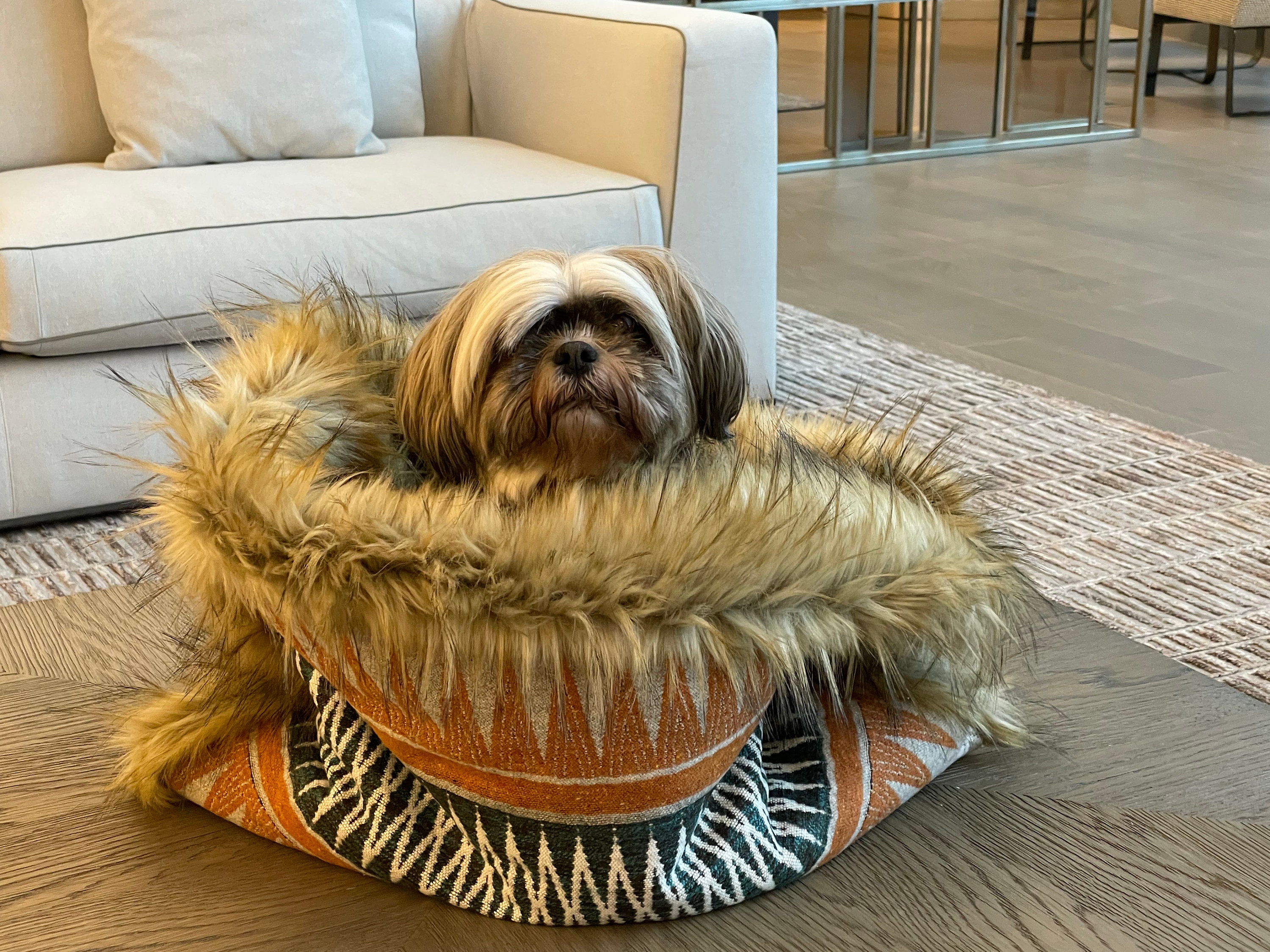 dog beds that help anxiety