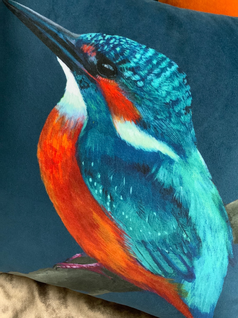Kingfisher Cushion Cover Petrol Blue Stunning Velvet a Great Etsy UK