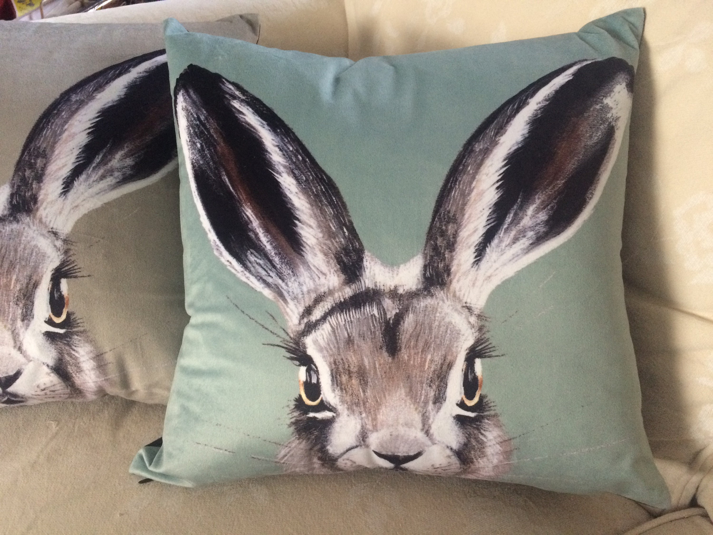 Hare Cushion Cover Handmade in Duck Egg Velvet Farmhouse Etsy UK