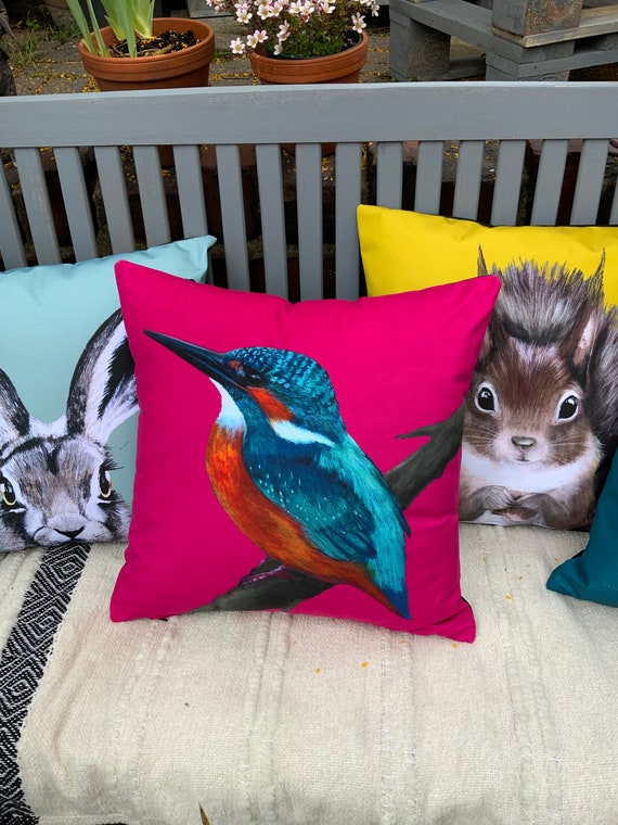 Kingfisher cushion clearance