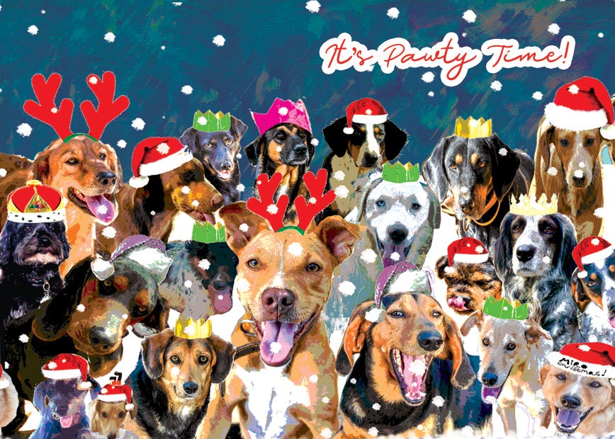Dog Rescue Christmas Cards Pack of 5 Eco Lightweight Also Art Etsy UK
