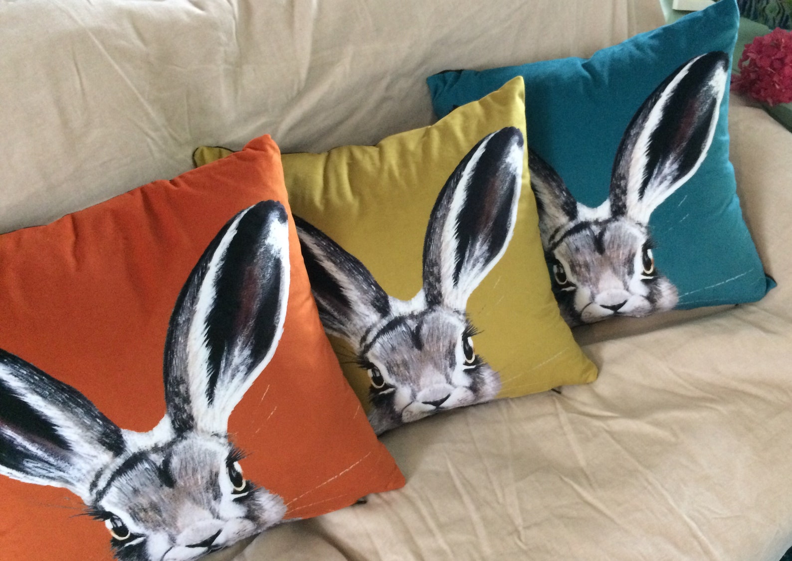 Hare Cushion Covers in Various Contemporary Colours Velvet Etsy UK