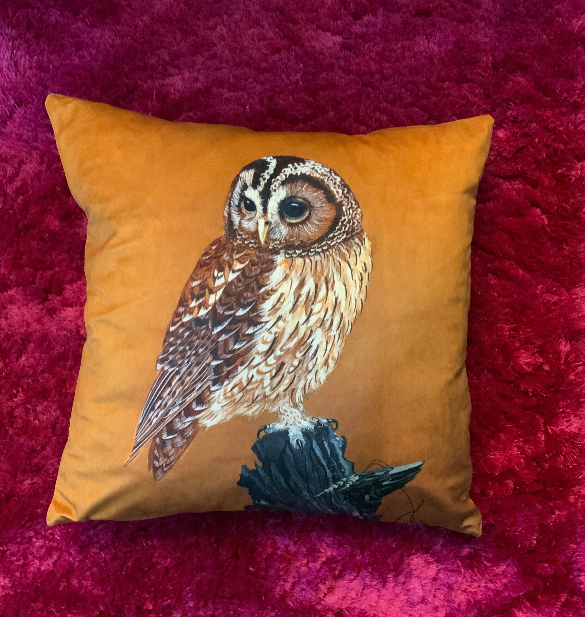 Tawny Owl Velvet Cushion Cover: Burnt Orange Bird Art