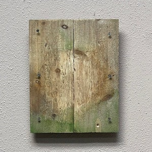 May include: A weathered wooden sign with a natural wood grain and green moss. The sign is attached to a light gray wall with screws.