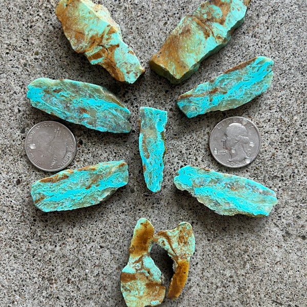 Exact Lot of Turquoise Mountain 91 grams of stabilized turquoise rough slabs! T16