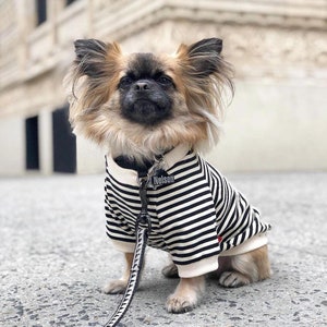 Striped T-Shirt for Chihuahuas and Small Dogs image 1