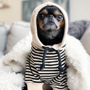 Striped Hoodie for Brussels and Small Dogs