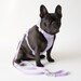 see more listings in the Dog Accessories section