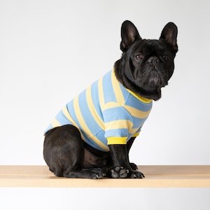 Dog clothes etsy on sale
