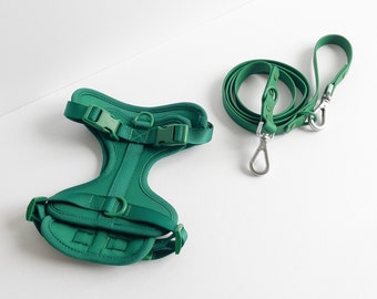 Green Adjustable Dog Harness & Lead Set, Green Harness and Leash Set for Small Dogs, Green Padded Harness and Leash Set