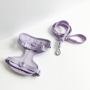 Purple Adjustable Dog Harness & Lead Set, Purple Harness and Leash Set for Small Dogs, Purple Padded Harness and Leash Set