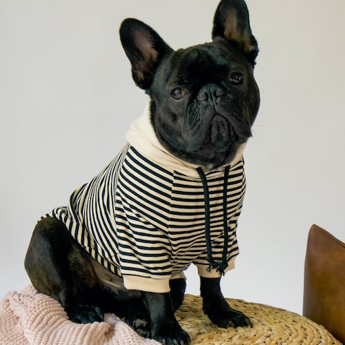Striped Tshirt for French Bulldogs and Small Dogs Etsy