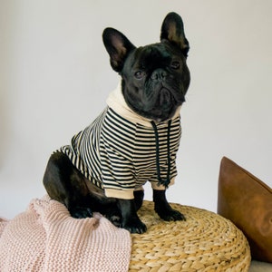 Striped Hoodie for French Bulldogs and Small Dogs