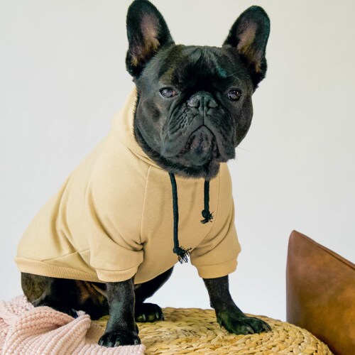 Cozy Cotton Hoodie for Small Dogs Etsy