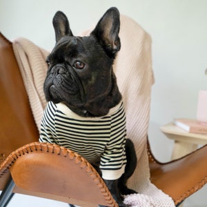 Striped T-Shirt for French Bulldogs and Small Dogs