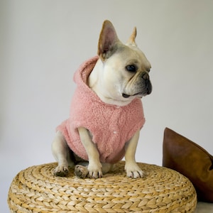 Cozy Fall Jacket for Small Dogs