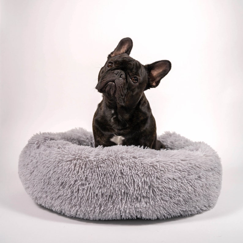 Fluffy Dog Bed for Small Dogs French Bulldogs Pugs Etsy
