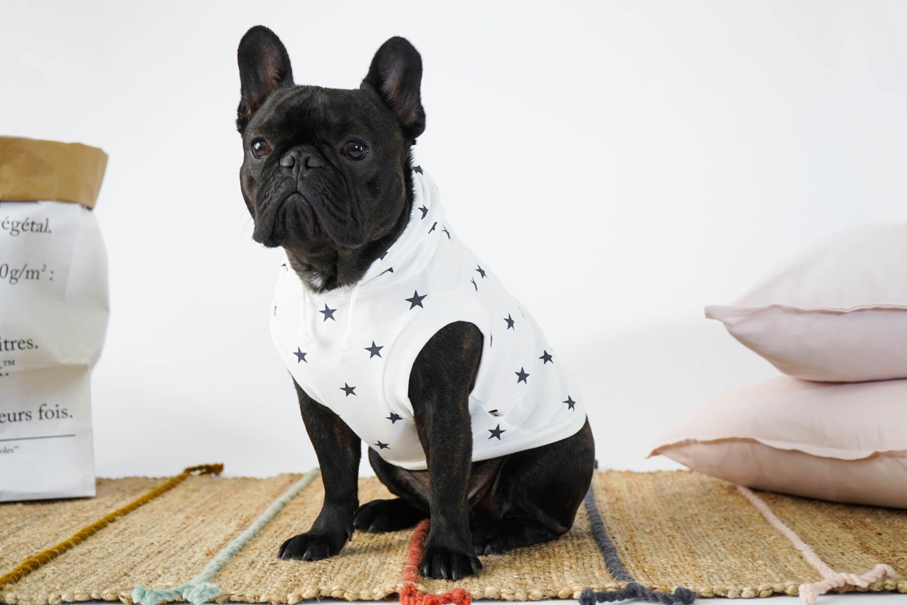 Chemise Imprimée Pour Petits Chiens