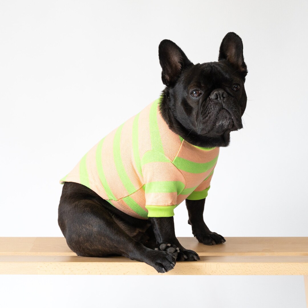 Knit Sweater for Small Dogs, Knit Shirt for Dogs, Knit Dog Jumper, Cozy