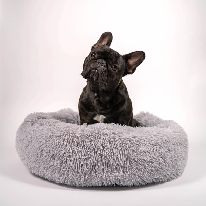 Fluffy Dog Bed for Small Dogs French Bulldogs Pugs Boston