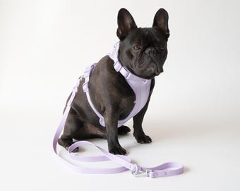 Comfortable Dog Harness & Leash Set, Soft Harness and Leash Set for Dogs, Padded Harness and Leash Set