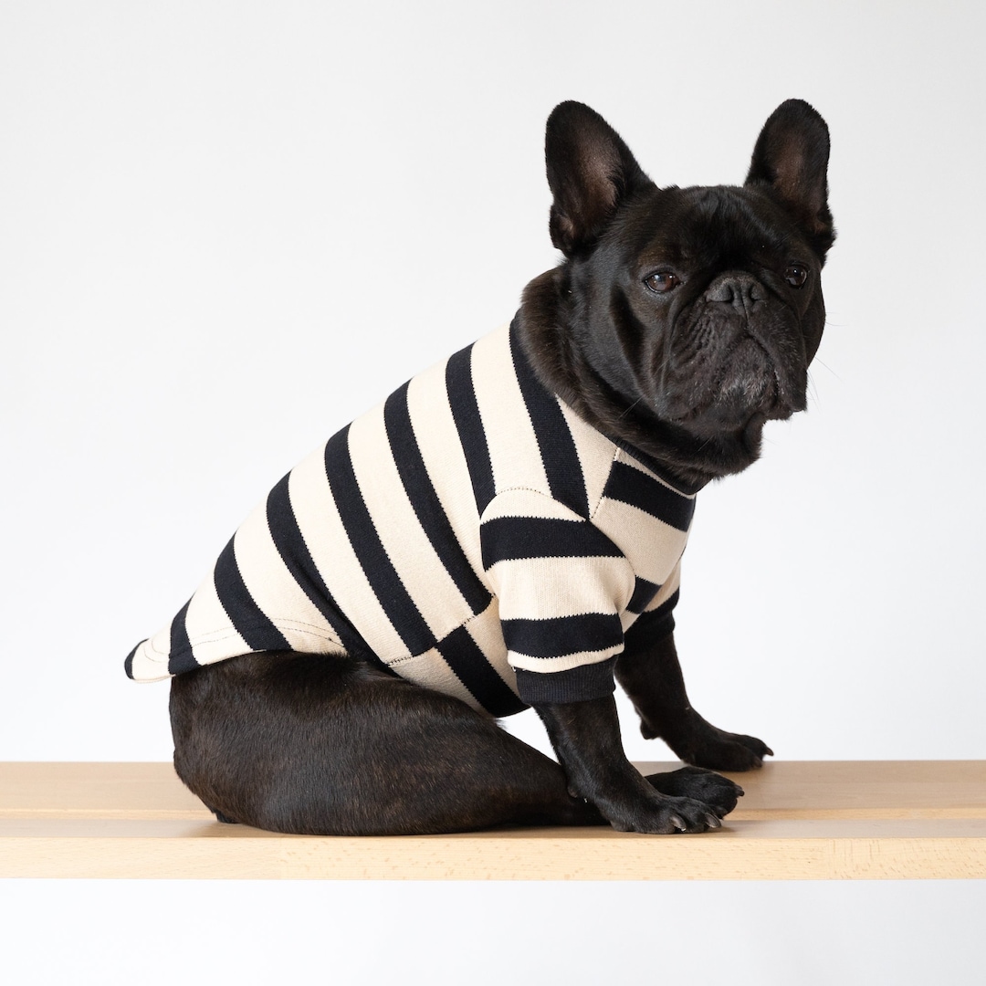 Knit Sweater for Small Dogs, Knit Shirt for Dogs, Knit Dog Jumper, Cozy