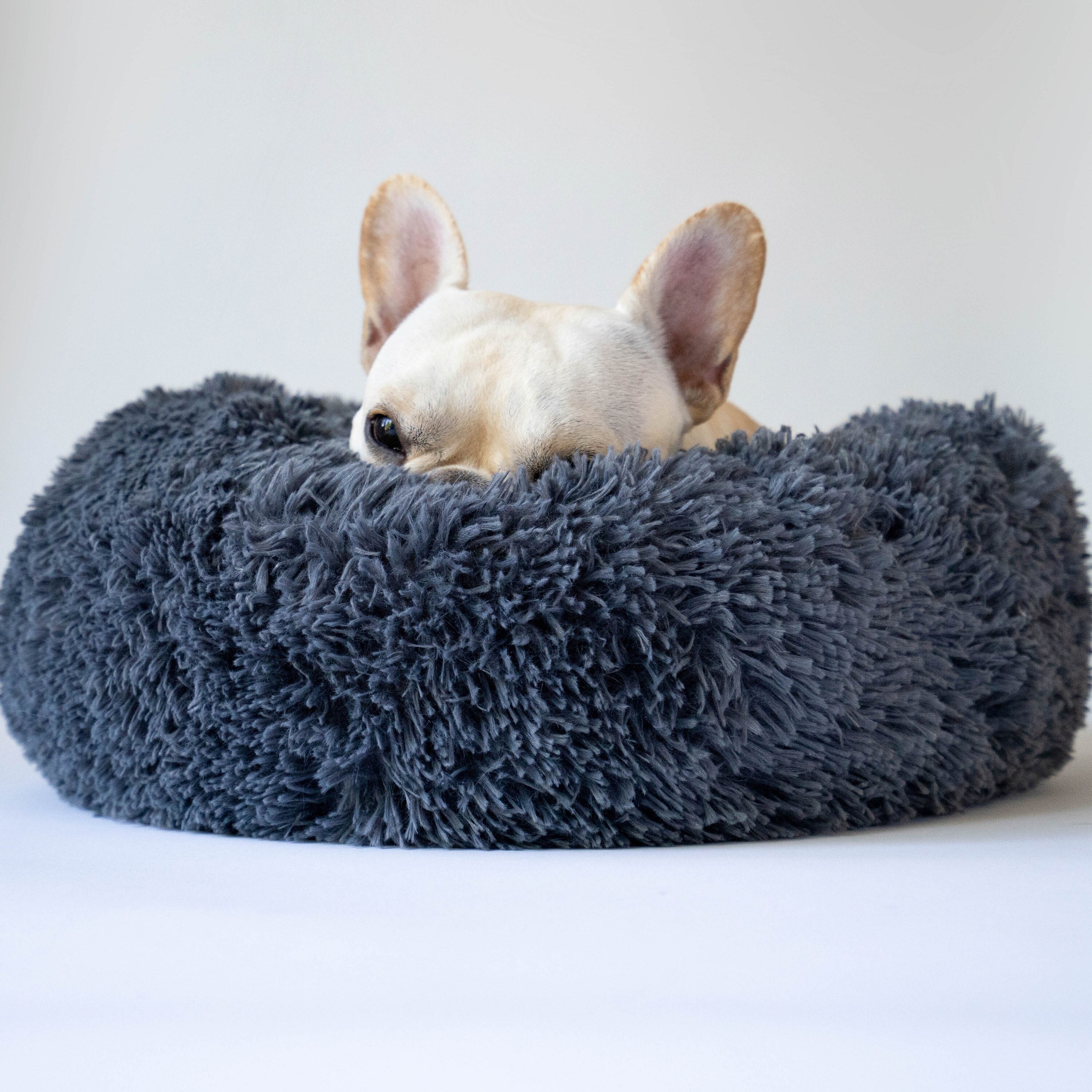 Dog Bed for Small Dogs Round Fluffy Dog Bed Modern Stylish Etsy