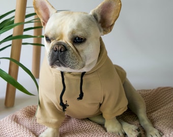 Cozy Cotton Hoodie for Small Dogs