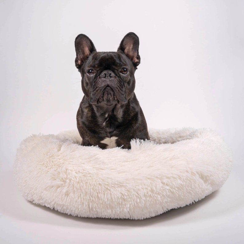Dog Bed for Small Dogs French Bulldogs Pugs Boston Etsy