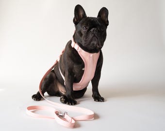 Comfortable Dog Harness & Leash Set, Soft Harness and Leash Set for Dogs, Padded Harness and Leash Set