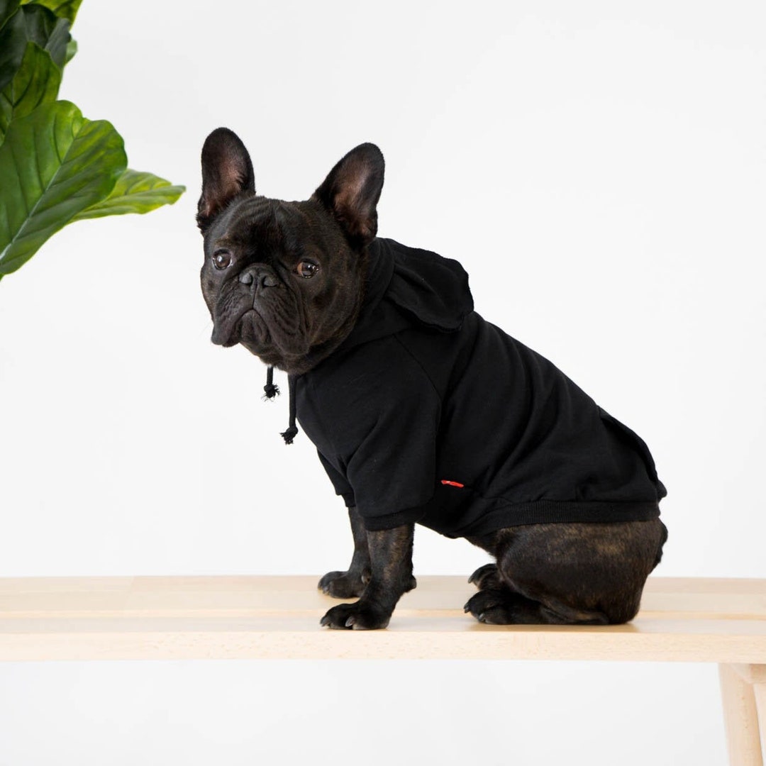 French bulldog in hoodie sales