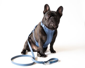 Comfortable Dog Harness & Leash Set, Soft Harness and Leash Set for Dogs, Padded Harness and Leash Set