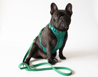 Dog Harness and Leash Set, Harness for Small Dogs, Comfortable Dog Harness, French Bulldog Harness, Padded Dog Harness, Small Dog Harness